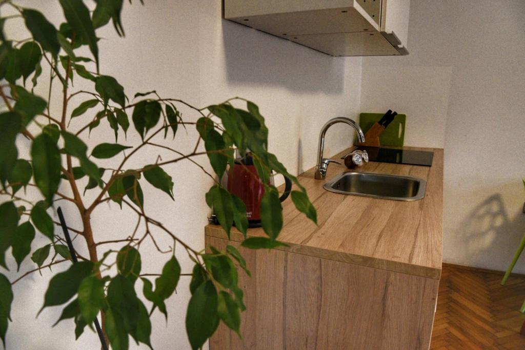 Two Flowers Apartments Zagrzeb Zewnętrze zdjęcie
